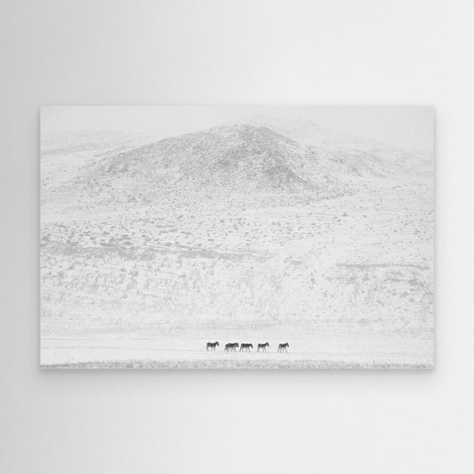 Winters… by Swapnil