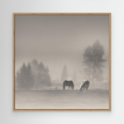 timeless moments by Swapnil