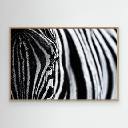 The look of nature by Marco Tagliarino