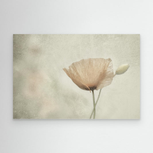 Jewel of nNature by Gilbert Claes