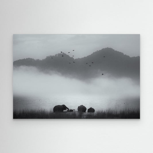 misty moments by Swapnil