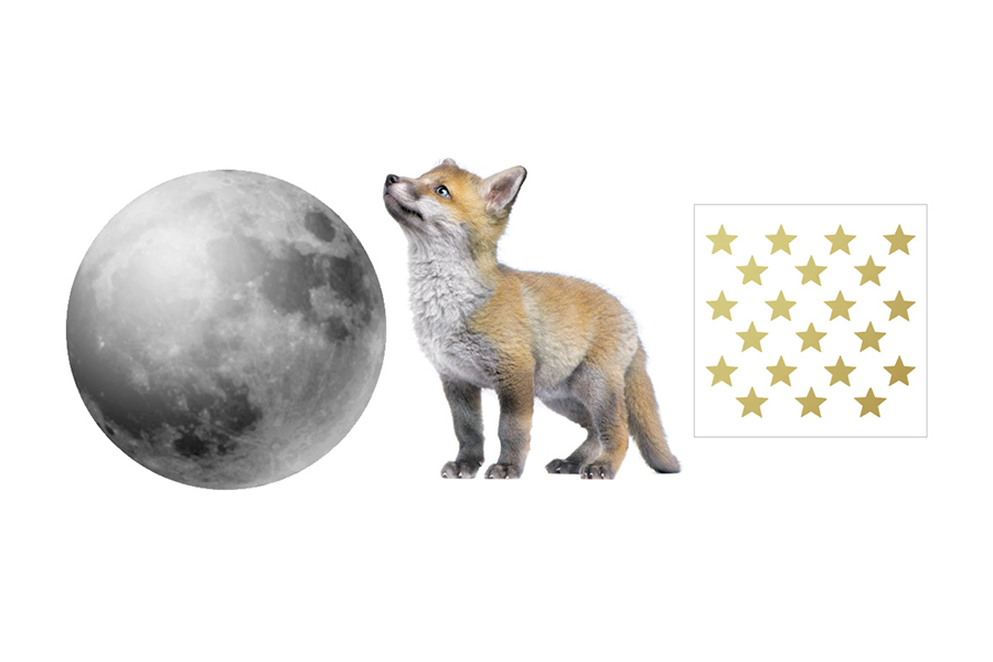 LITTLE Fox And His Friend The Moon Wall Sticker