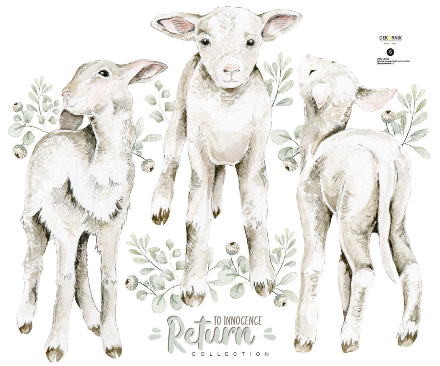 LITTLE Lambs / Return to Innocence