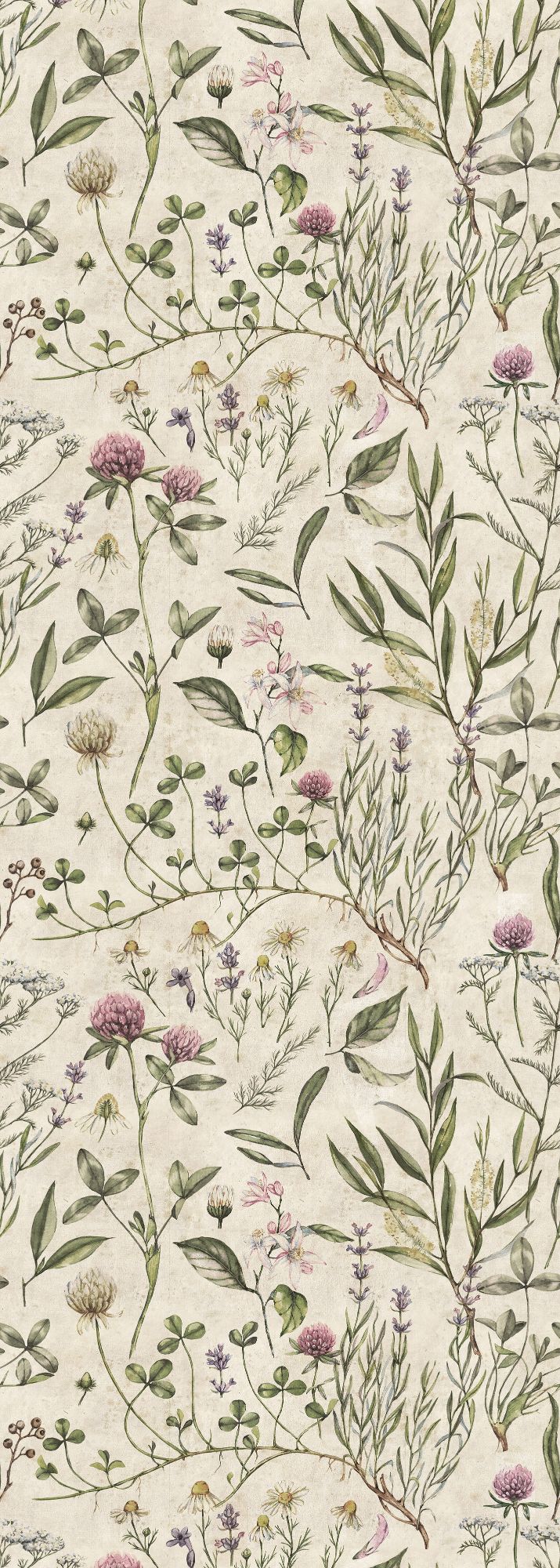 VINTAGE Botanic Illustration Wallpaper 100x280CM