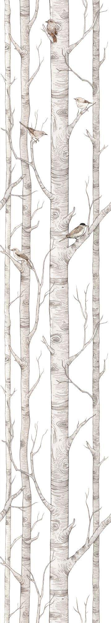 SCANDINAVIAN Birch Forest Wallpaper
