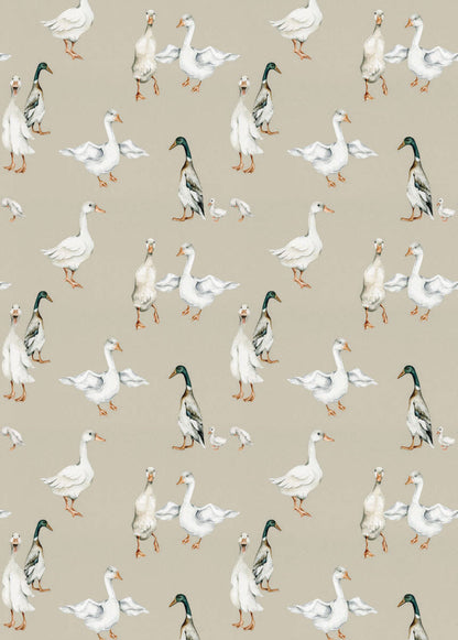 WHITE Ducks Wallpaper 50x280CM