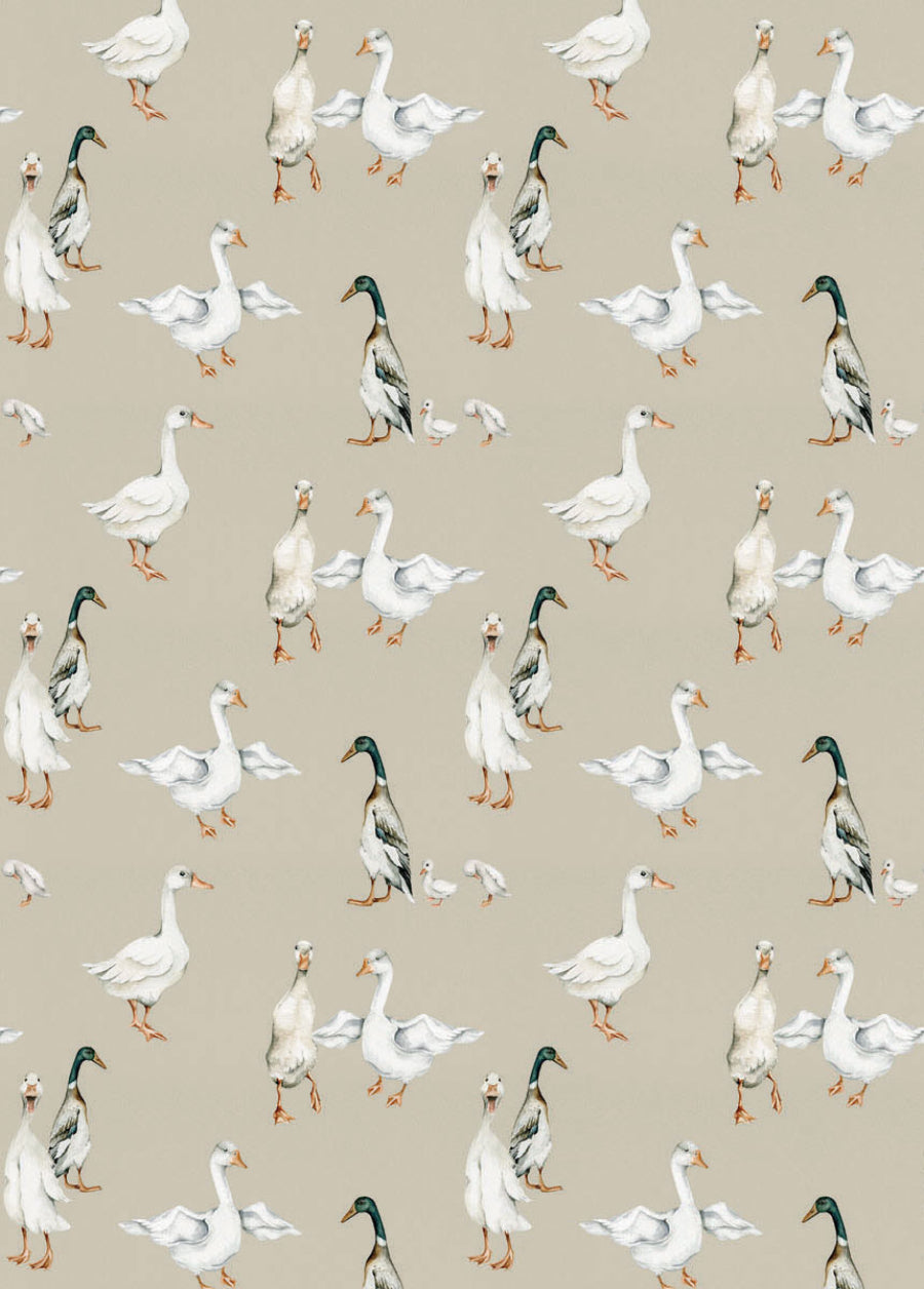 WHITE Ducks Wallpaper 50x280CM