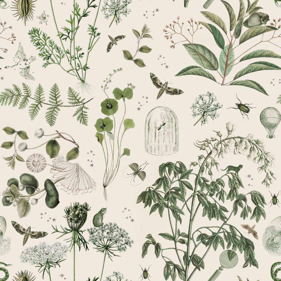 GREEN Botanical Stories Wallpaper 100x280CM