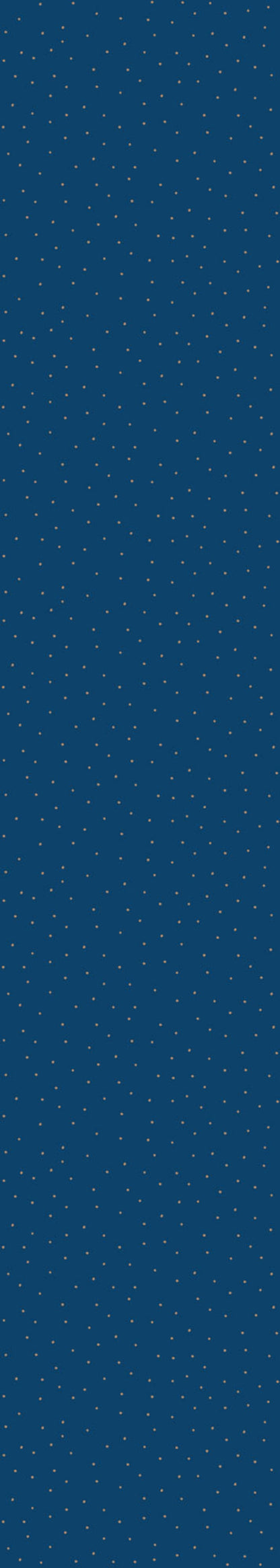 Tiny Speckles On Navy Blue Wallpaper 50x280CM
