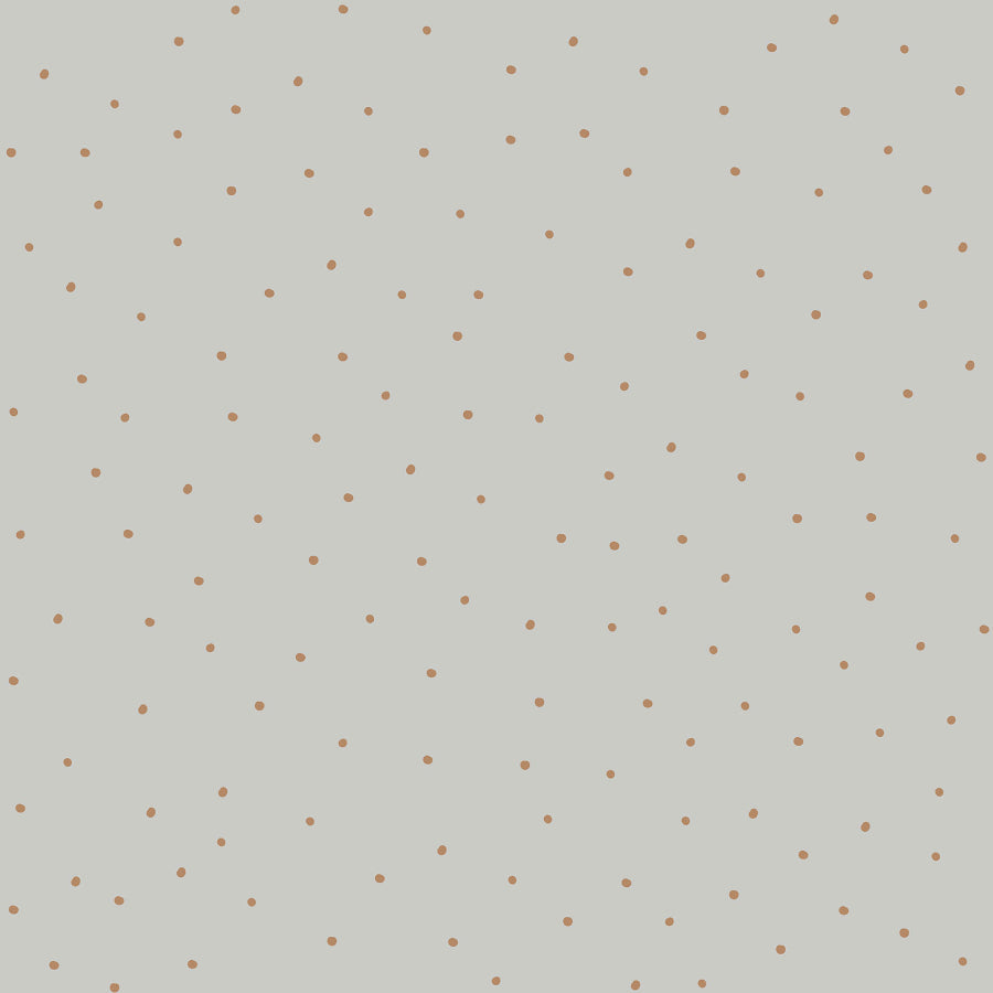 Tiny Speckles On Grey Wallpaper 50x280CM