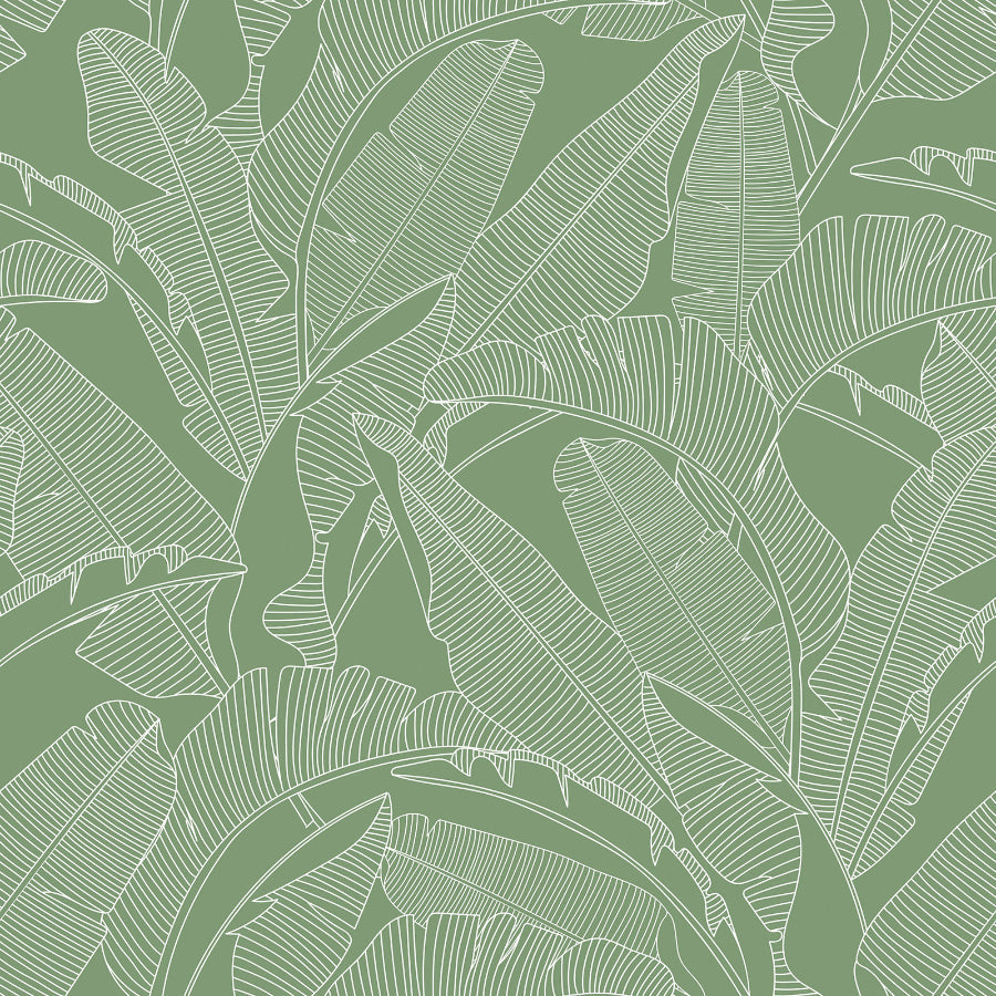 PALM LEAVES Green Wallpaper 100x280CM