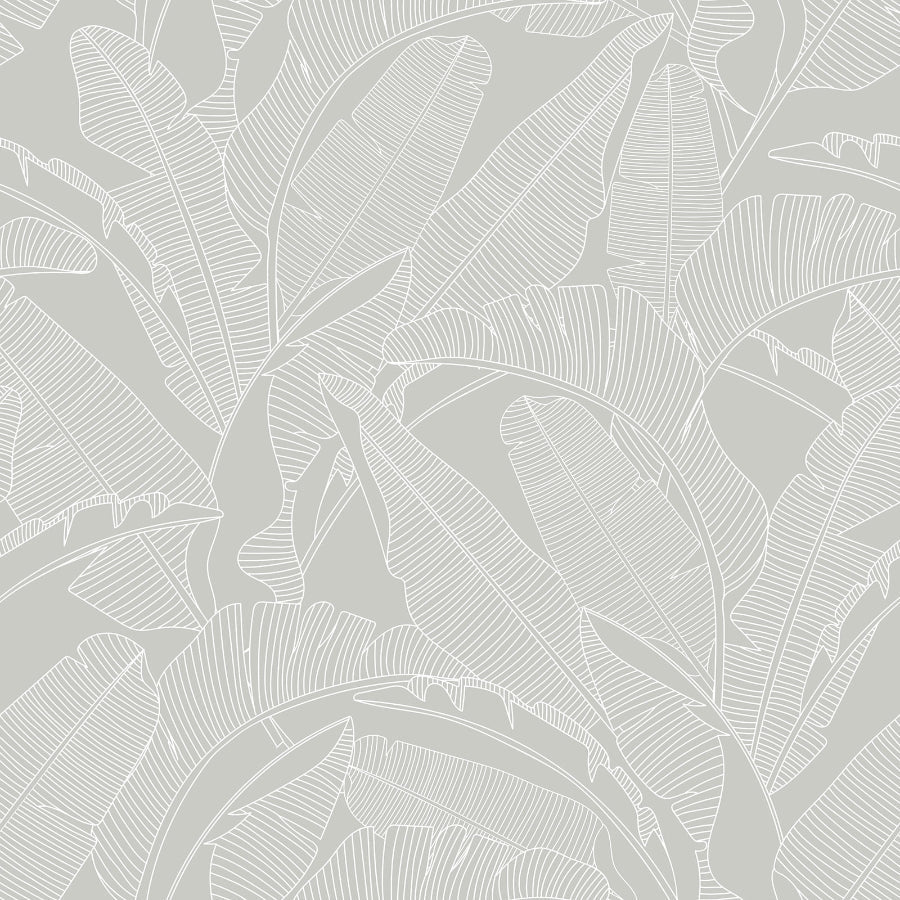 PALM LEAVES Grey Wallpaper 100x280CM