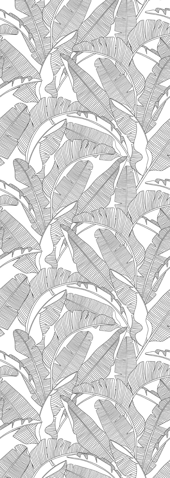 PALM LEAVES Black & White Wallpaper 100x280CM