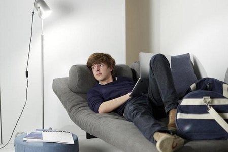 TEEN FRACTION Super Soft Sofa Bed (120 cm), 20 Day Delivery Innovation- D40Studio