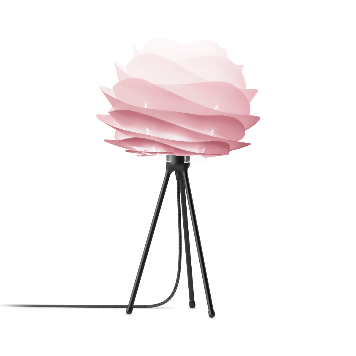CARMINA Baby Rose Table Lamp